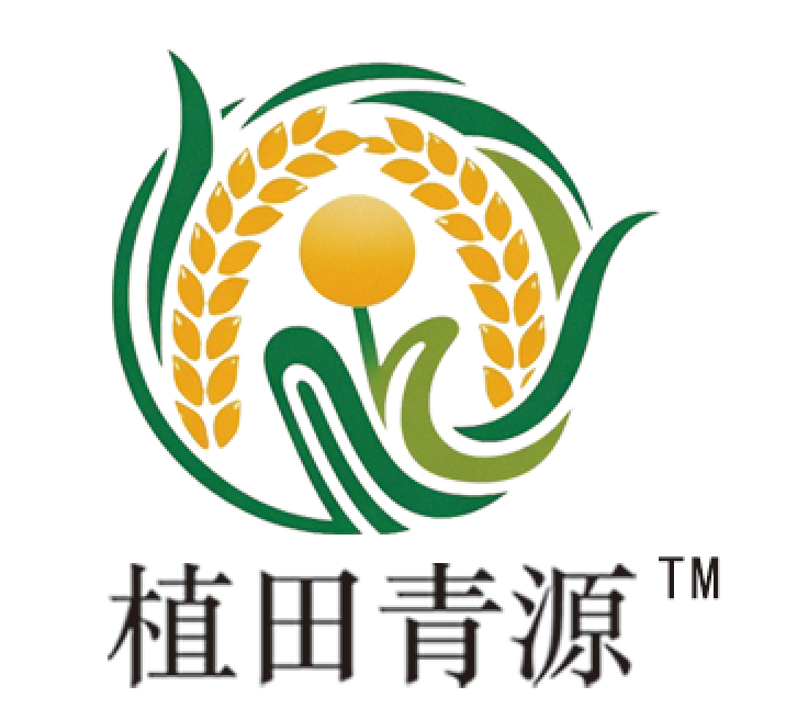 站点名称